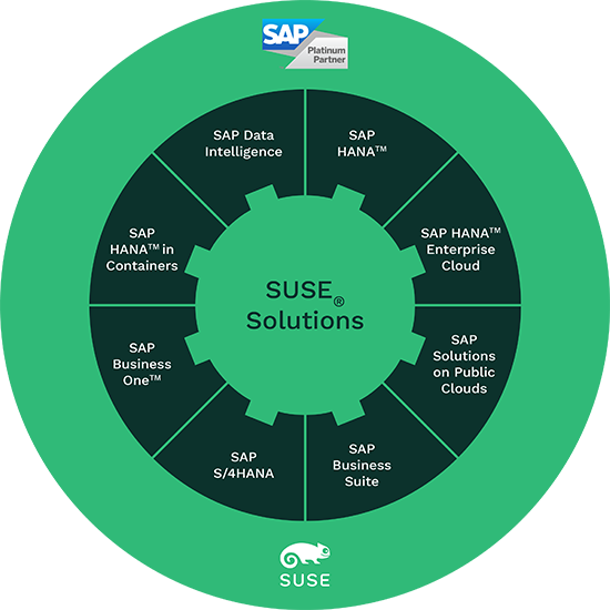 SAP Wheel